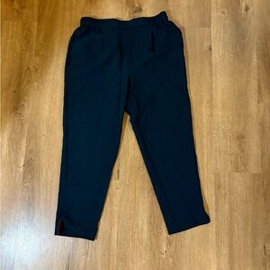 Anthropologie Black Women's Pull-On Ankle Pants